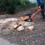 318088519_572616758202613_8438444824501596356_n